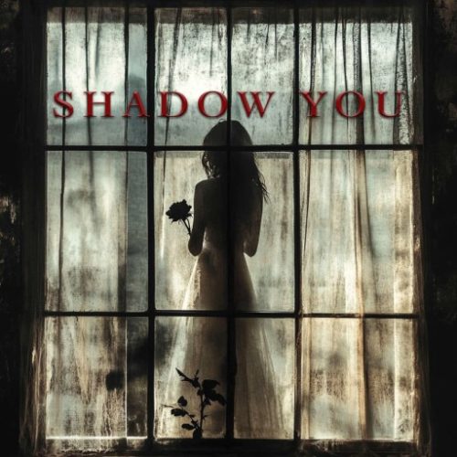 henri-werner-music-producer-and-composer-song-cover-art-shadow-you