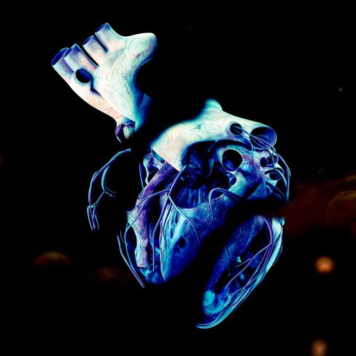 henri_werner_songs_shredding_my_heart_cover_art